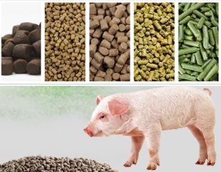 small feed pellet machine 5